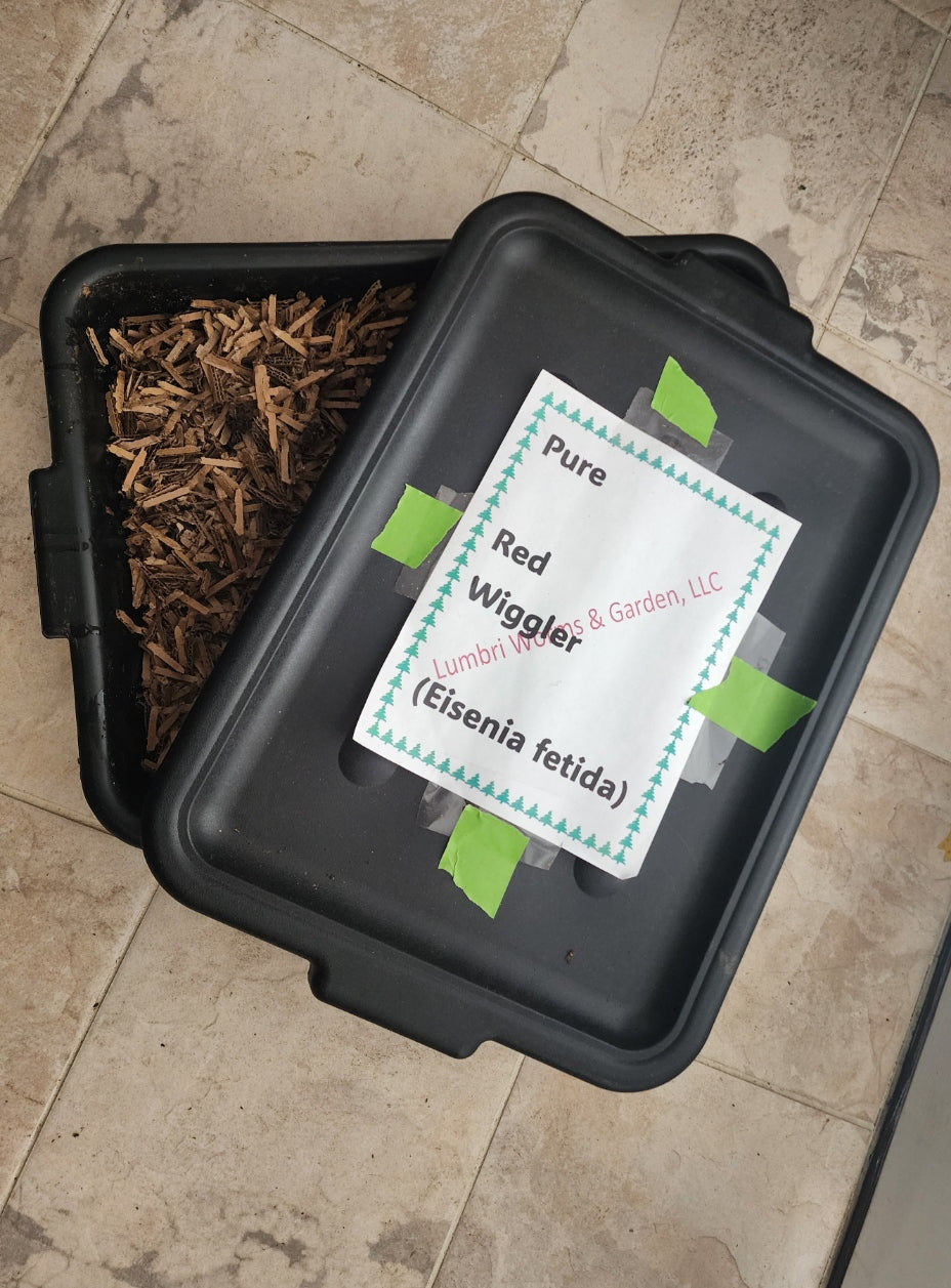 Build a DIY worm bin using recycled materials - Lumbri Worms & Garden, LLC