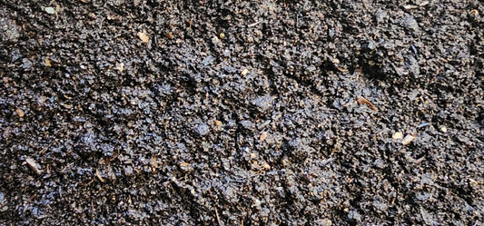 Premium Worm Castings: How To Use and Store Nature’s Best Soil Booster - Lumbri Worms & Garden, LLC