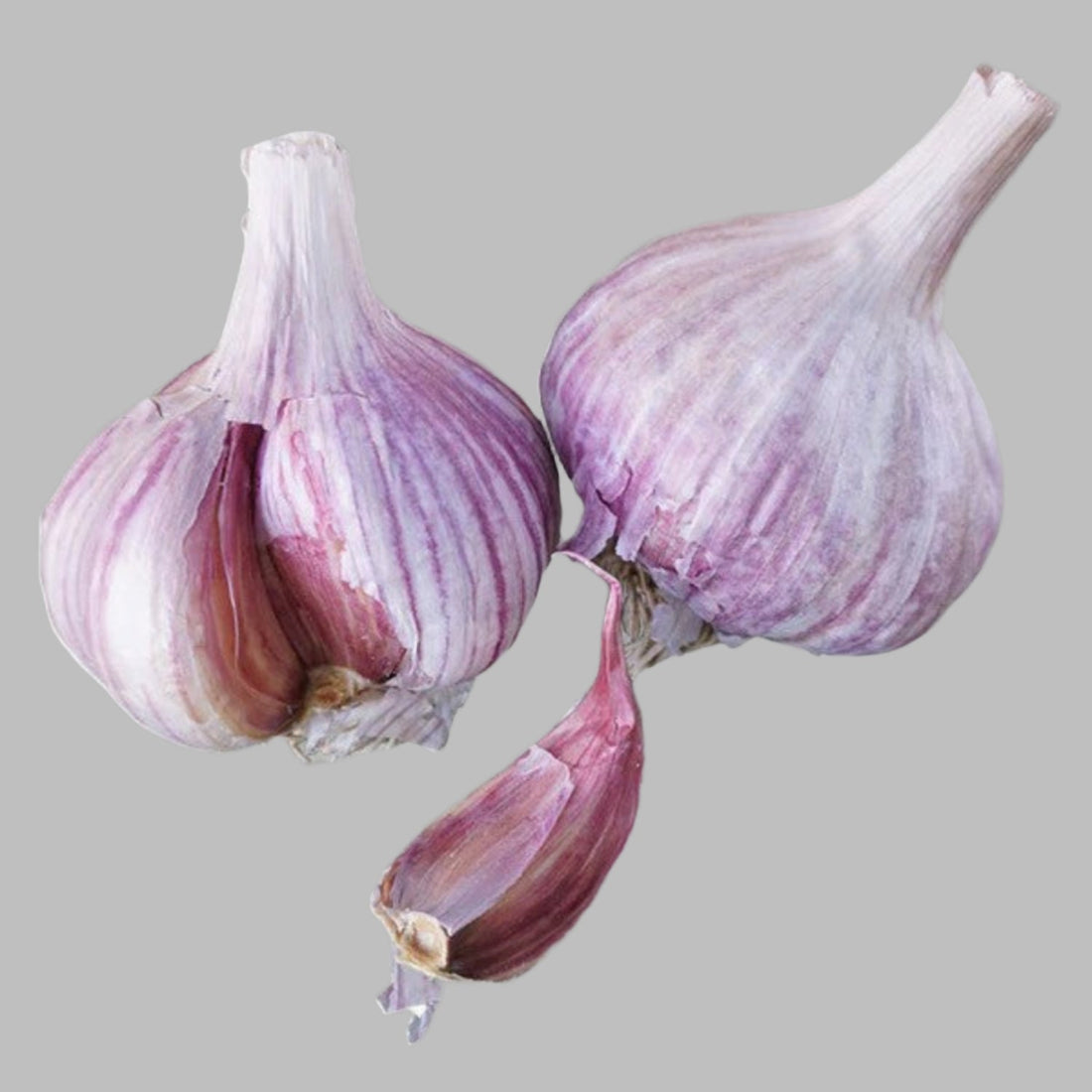 đ± What to Plant in the Fall and How To: A Cool-Season Gardenerâs Guide