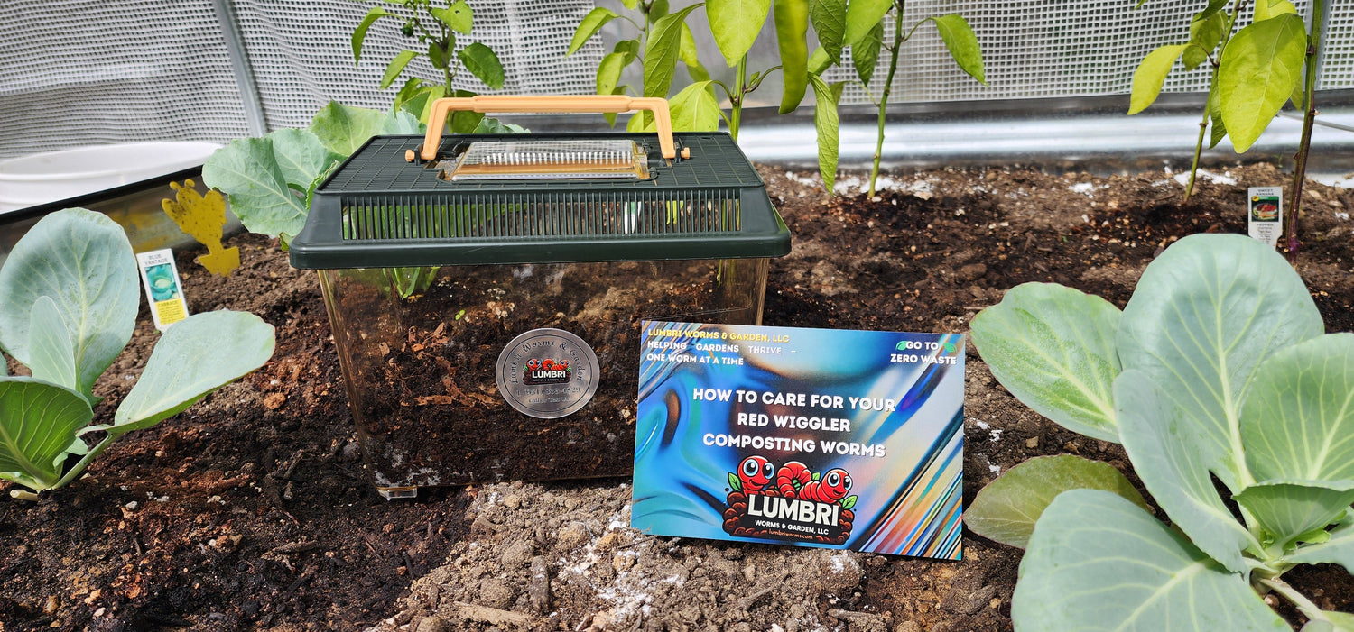 Eco Systems Worm Composting Kit – Red Wigglers, Bedding & Bin for Beginners