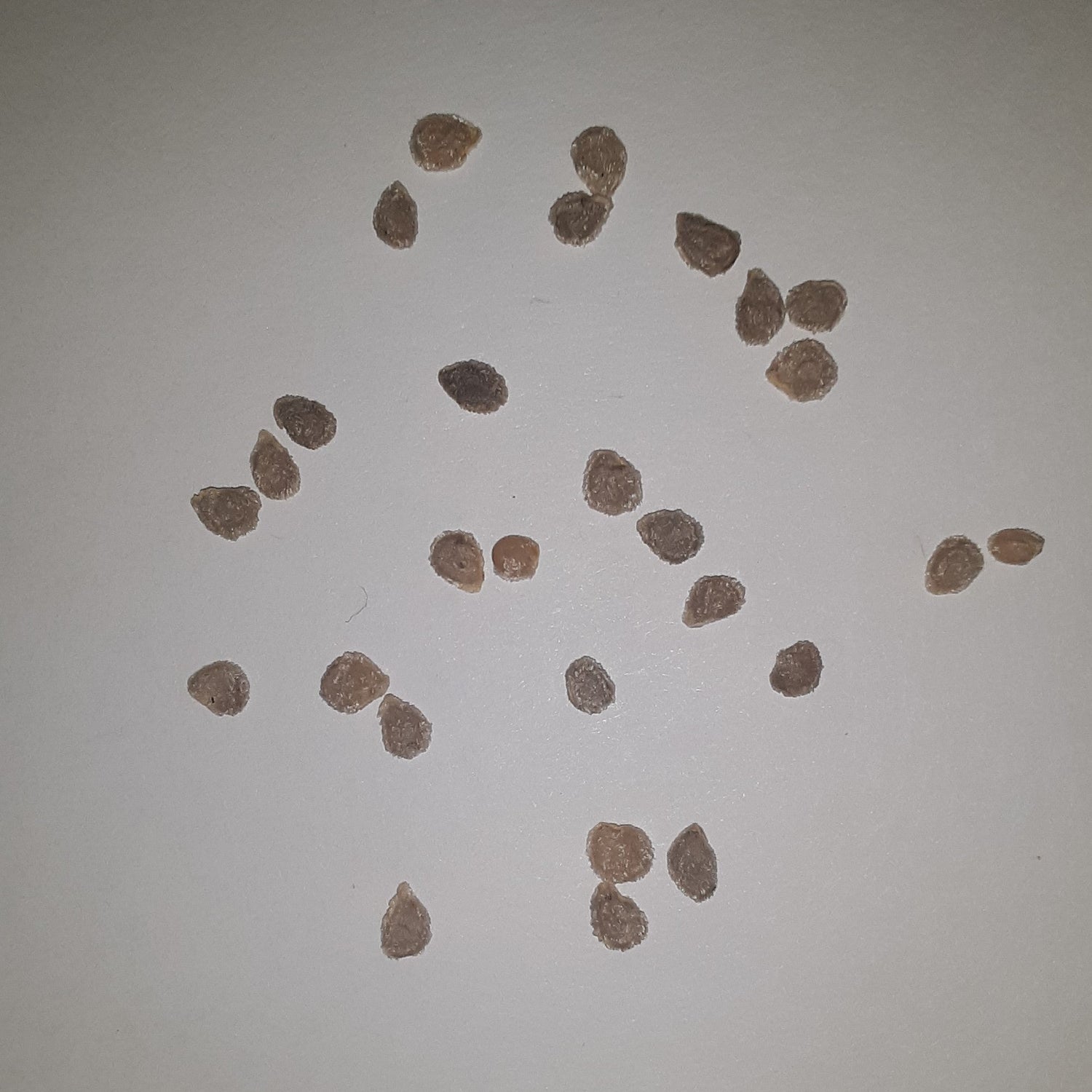 Papaw’s Heirloom Seeds with Worm Castings – Lumbri Worms & Garden