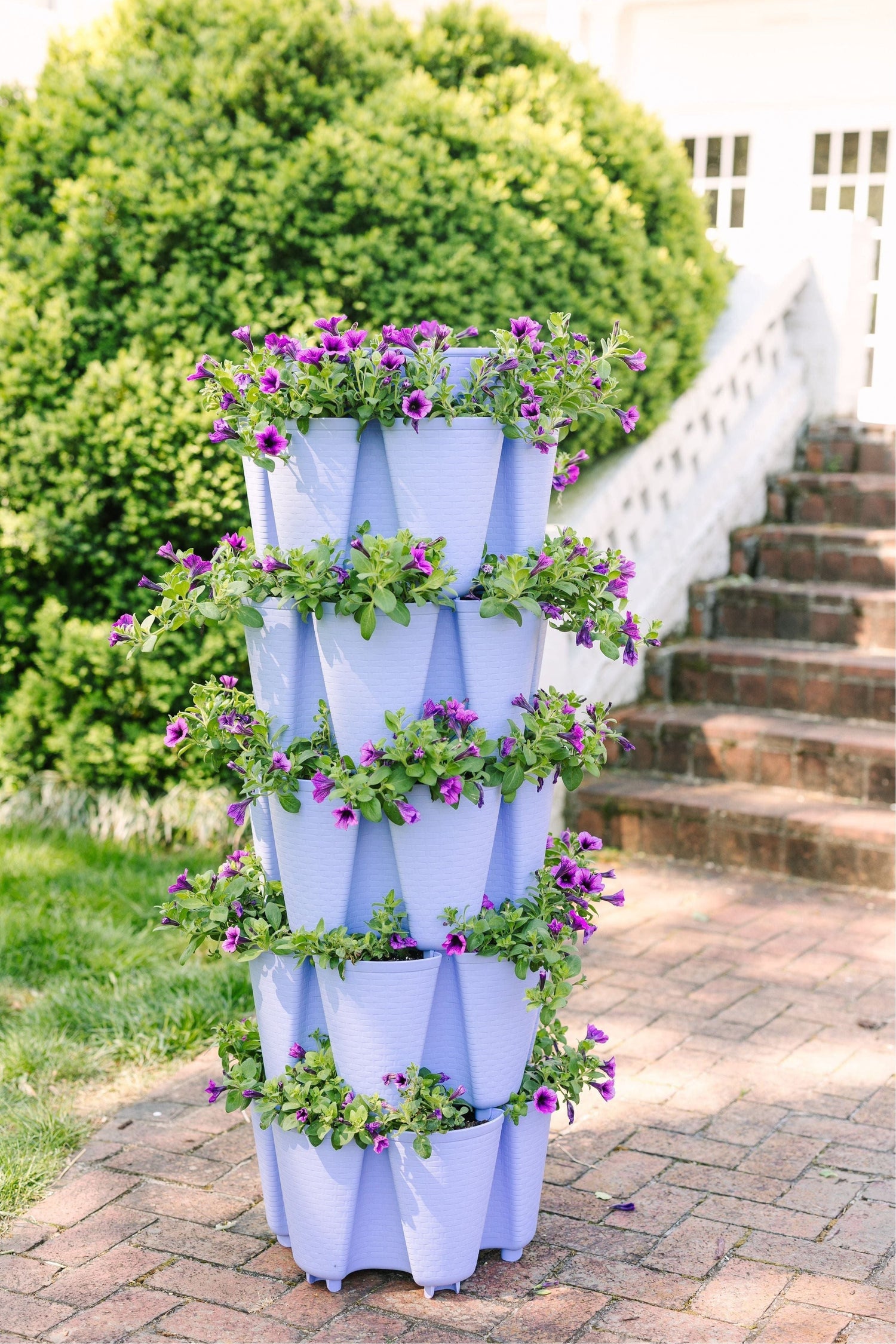 GreenStalk Garden - Vertical Gardens