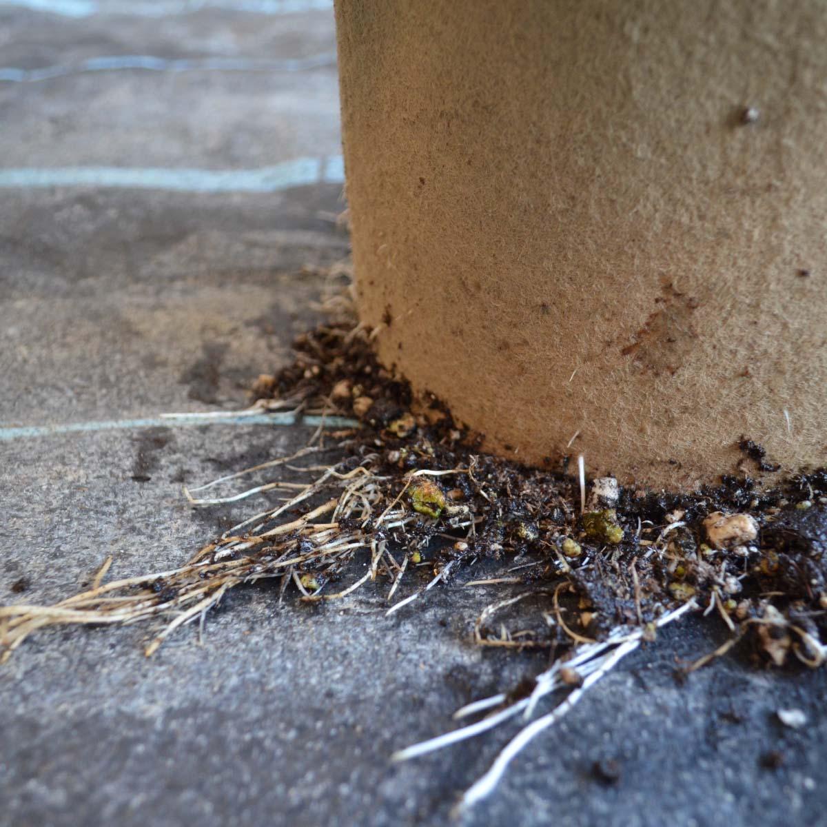 AquaMat Capillary Irrigation Systems