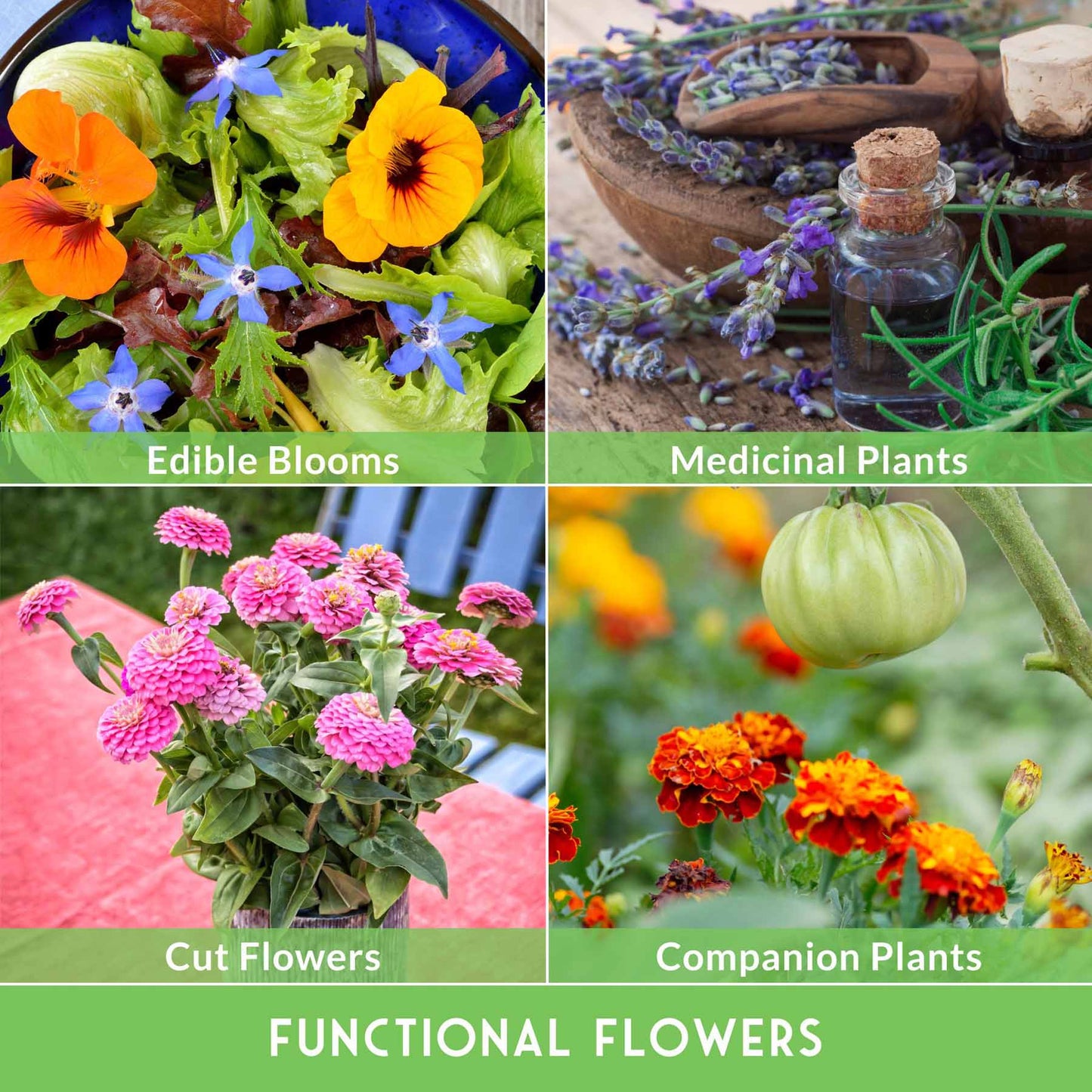 Functional Flower Garden Kit - 36 Helpful Flowers