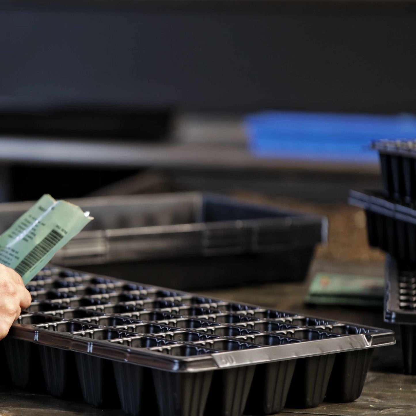 50 Cell Seed Planting Trays