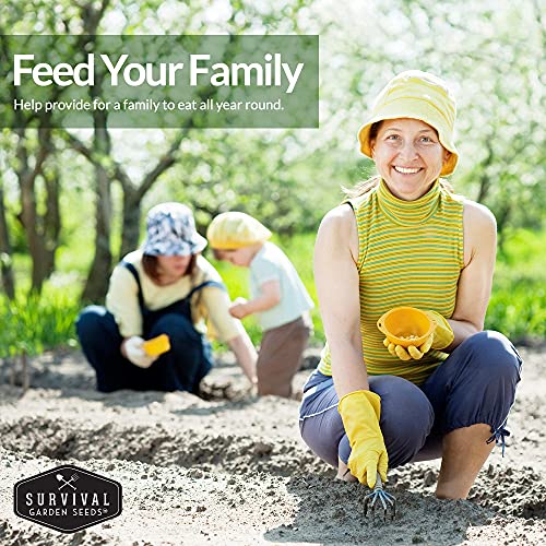 Barbecue Vegetable Seed Collection - Vegetables Perfect for Grilling