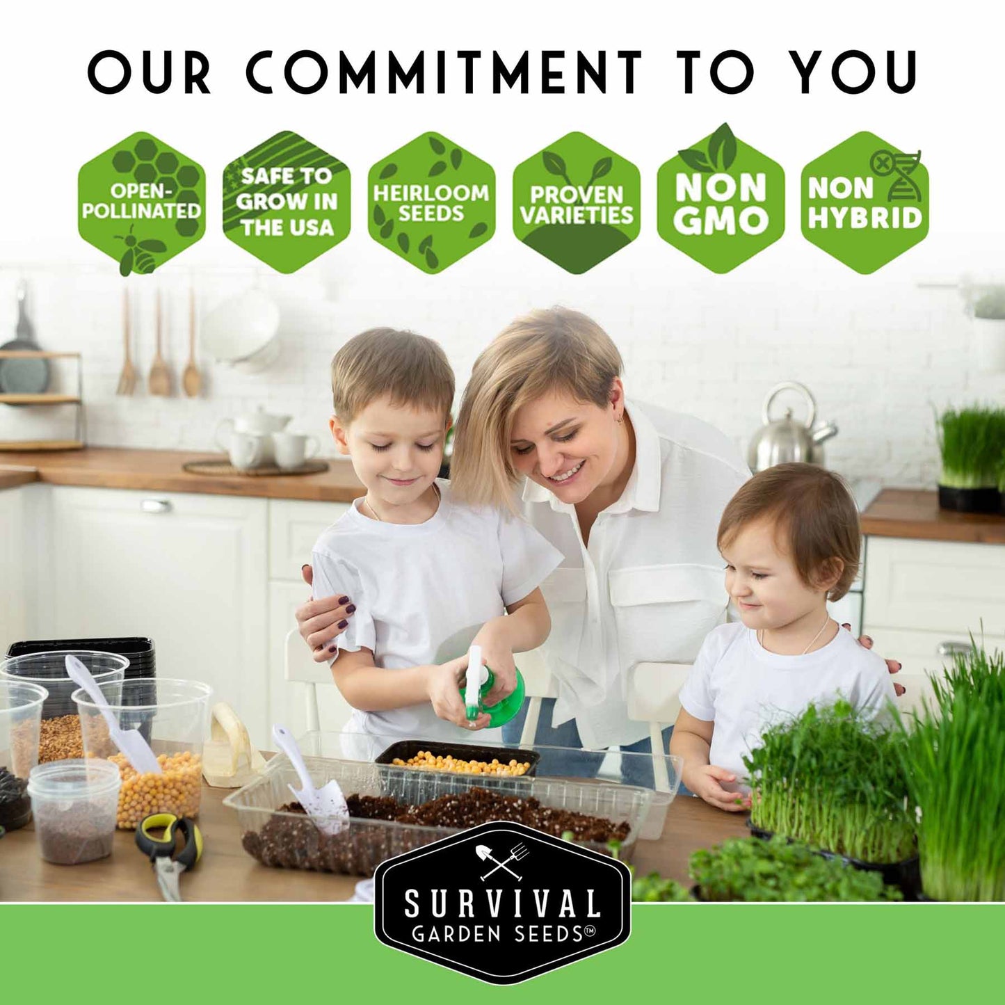 Microgreens Seeds 5 Pack