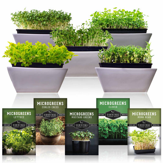 Microgreens Seeds 5 Pack