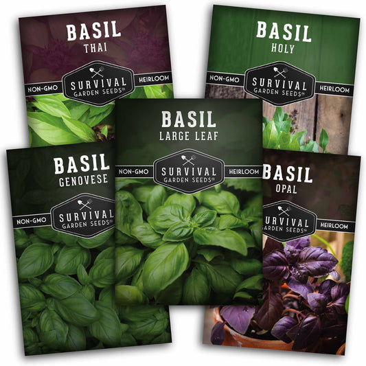 Basil Seed Collection - 5 Colorful and Tasty Varieties of Basil