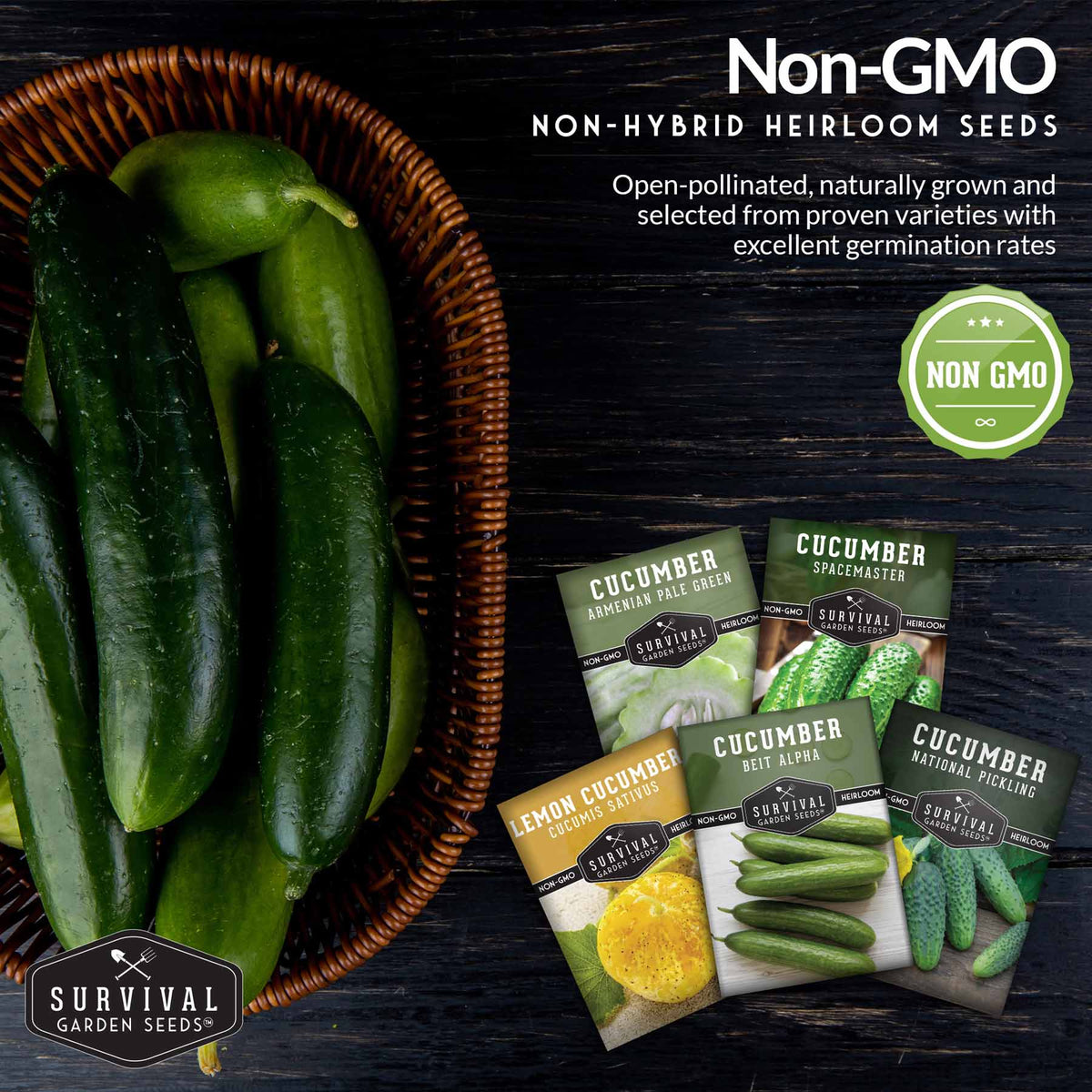 Cucumber Collection - Armenian, Beit Alpha, Lemon, National Pickling, & Spacemaster