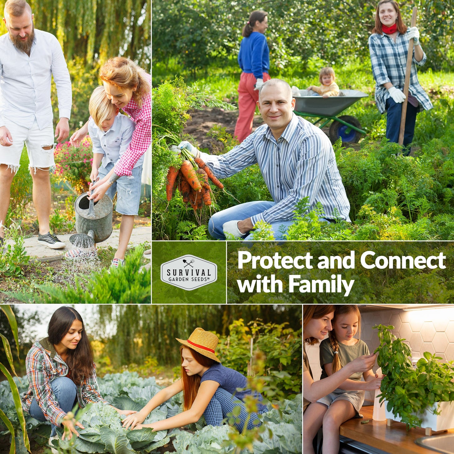 Starter Kit Seed Vault - 20 Delicious Varieties of Vegetables