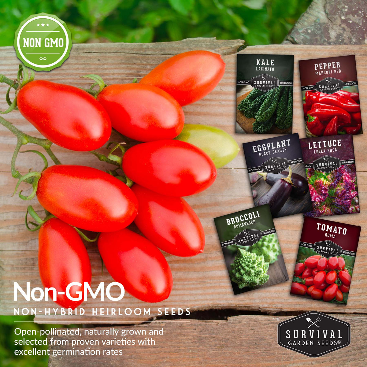 Italian Collection - Romanesco Broccoli, Black Beauty Eggplant, Lacinato Kale, Lolla Rossa Lettuce, Marconi Red Pepper, Roma Tomato