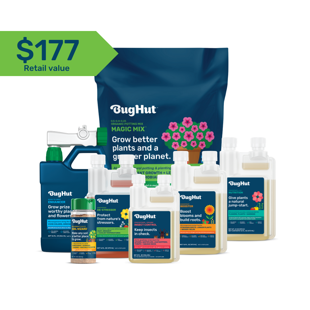 Essential Bundle