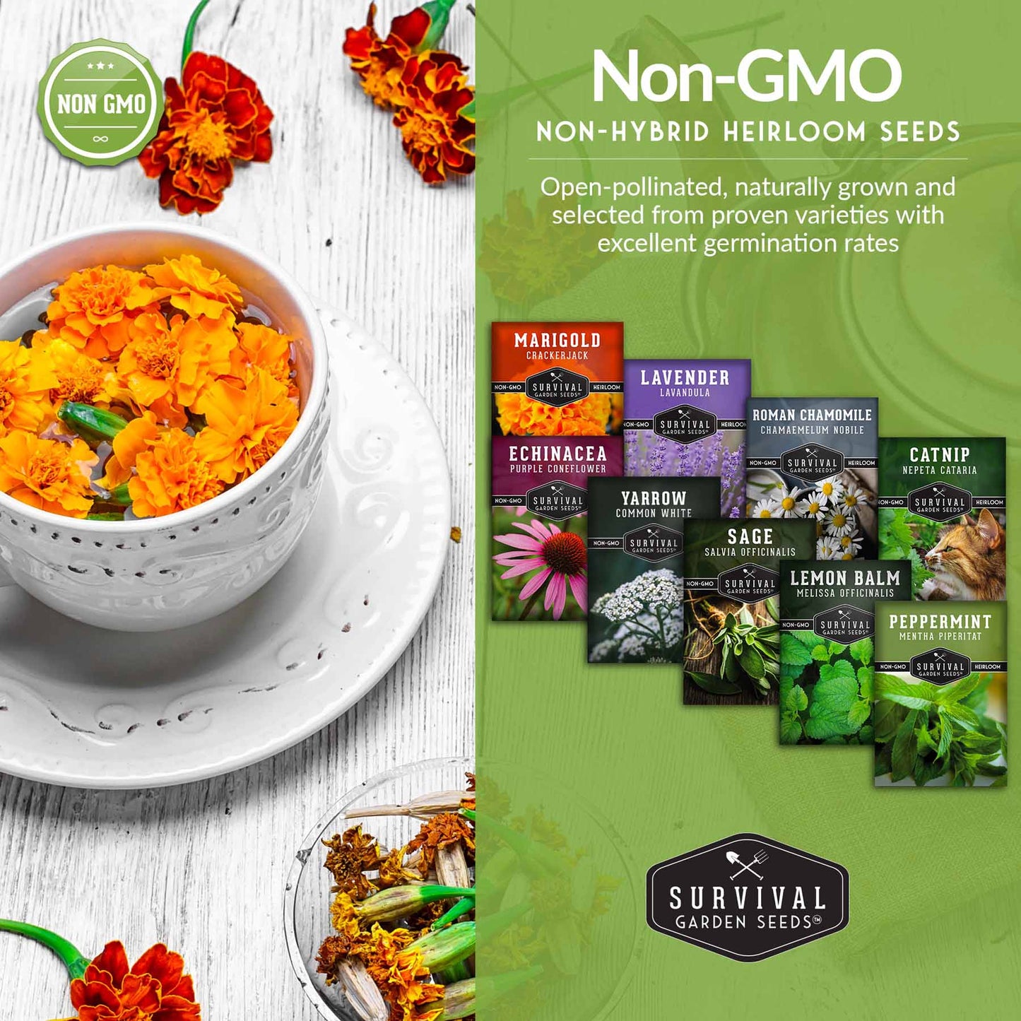 Medicinal Tea Seed Collection - 9 Flowers and Herbs for Medicinal Tea