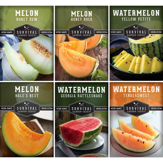 Melon Seed Collection - 6 Melons and Cantaloupes