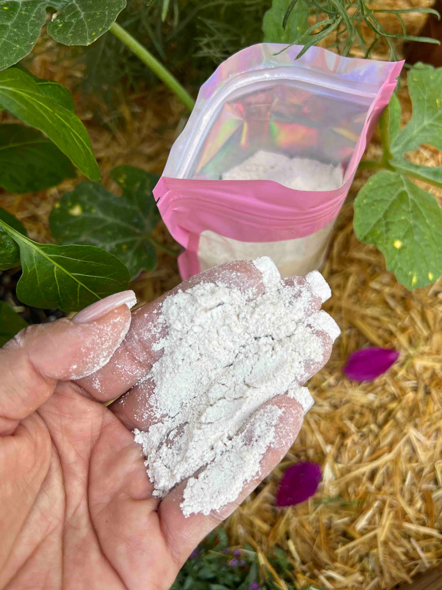 Oyster Shell Flour