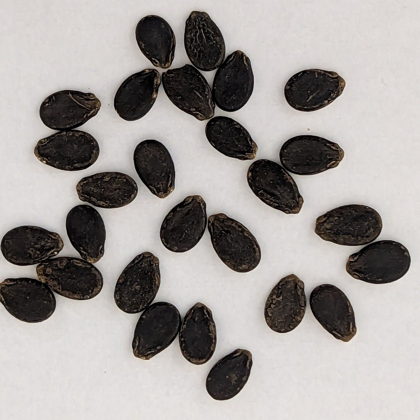 Yellow Gem Sweet Watermelon Seeds