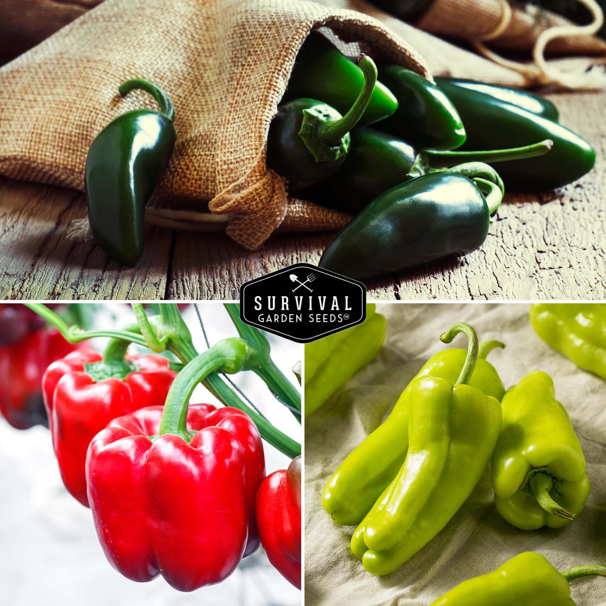 8 Peppers Seed Collection - Sweet & Hot Peppers