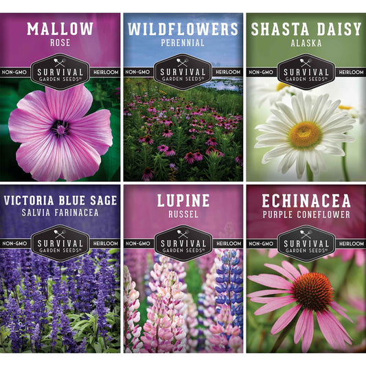 Perennial Flowers Mix - Shasta Daisy, Echinacea, Russell Lupine, Rose Mallow, Blue Sage, and Perennial Wildflower Mix