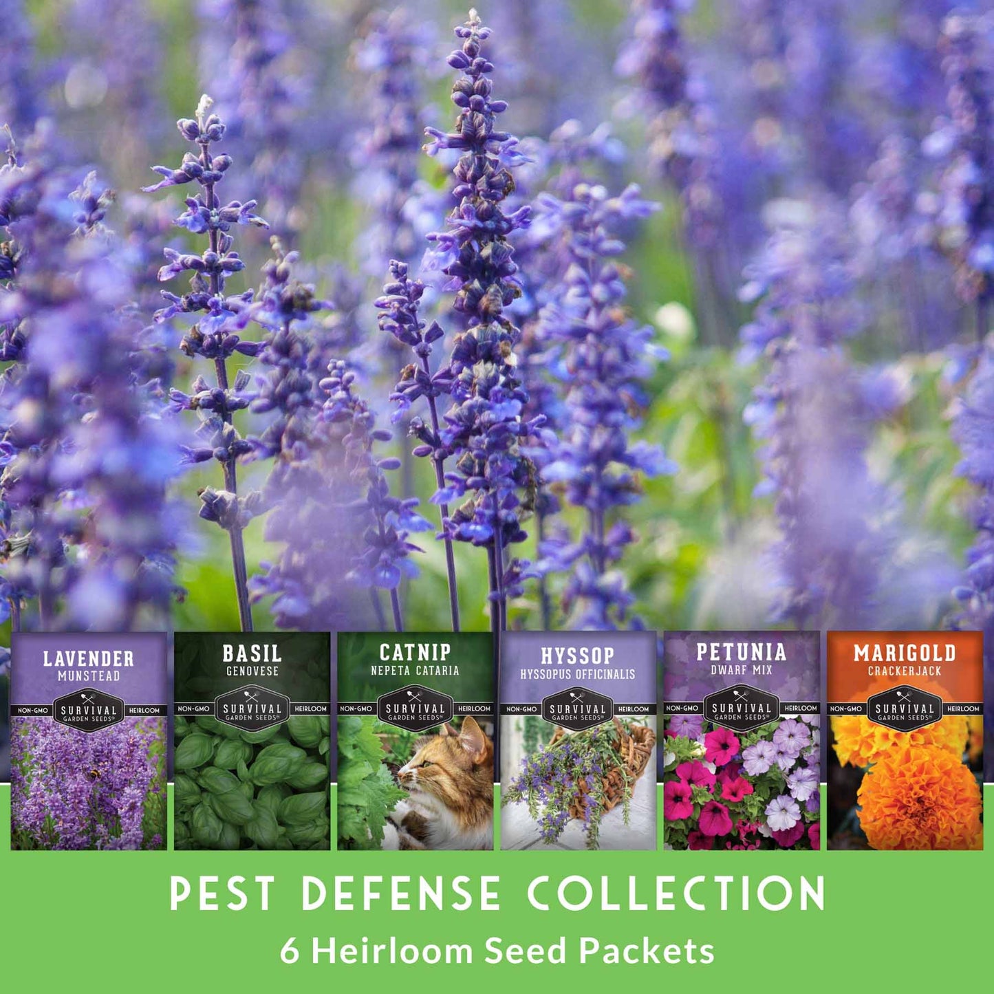 6 Pest Defense Herb & Flower Seeds - Repel Garden Pests Naturally