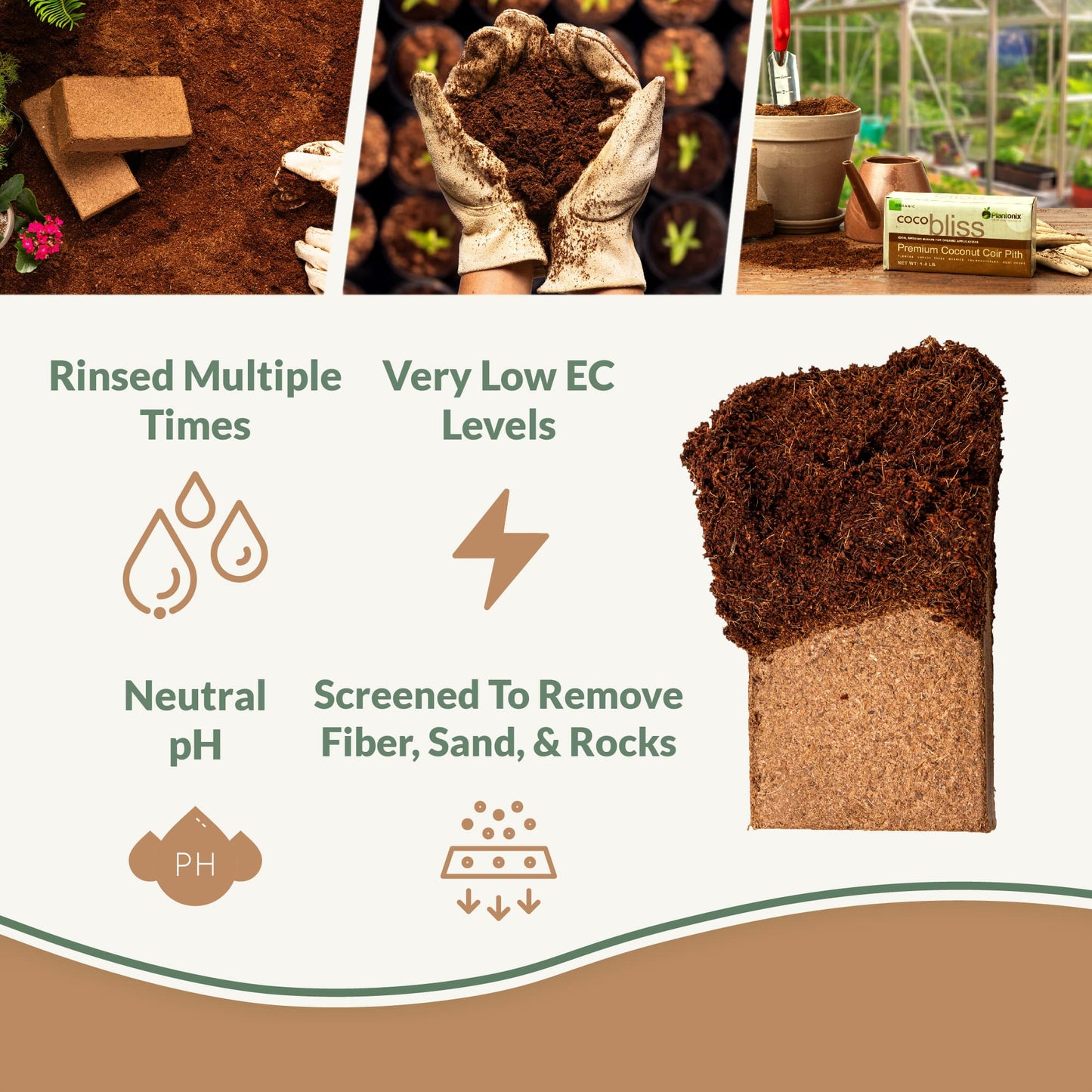 Coco Bliss - 650g Coco Coir Bricks
