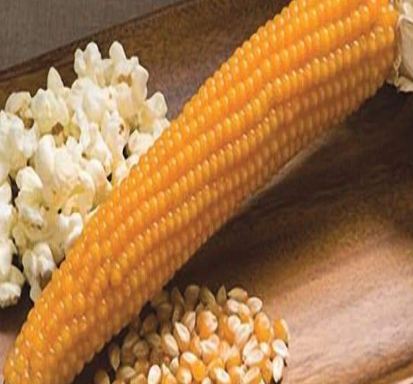 Purdue 410 Yellow Popcorn Untreated Seeds