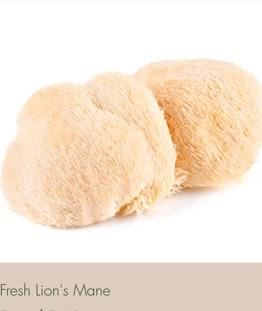 🍄 Fresh Lion’s Mane Mushrooms – Gourmet, Local & Organic | Lumbri Worms & Garden LLC - LOCAL PICK UP ONLY