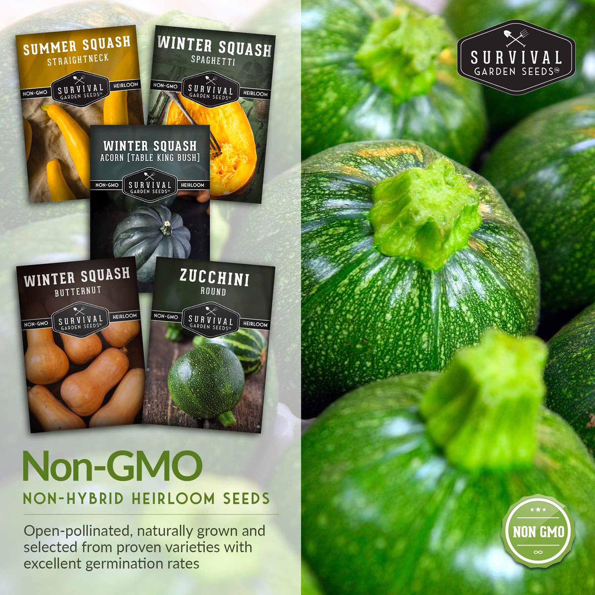 Squash Seed Collection - Winter & Summer Squash
