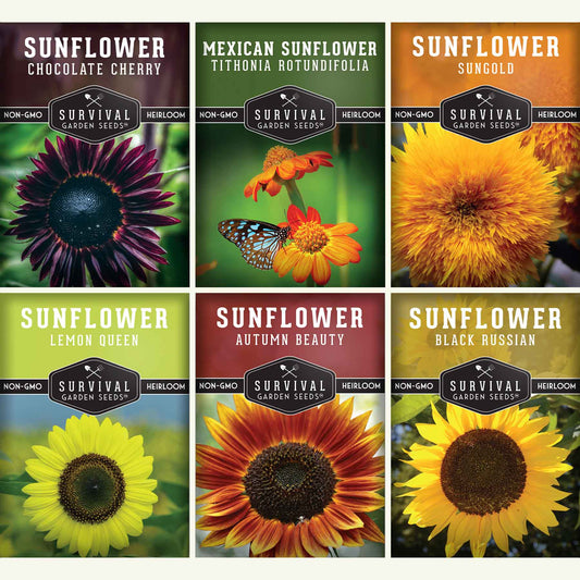 6 Sunflower Collection -  A Rainbow of Colorful Sunflowers