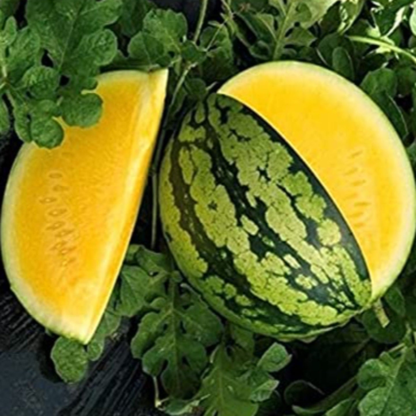 Yellow Gem Sweet Watermelon Seeds