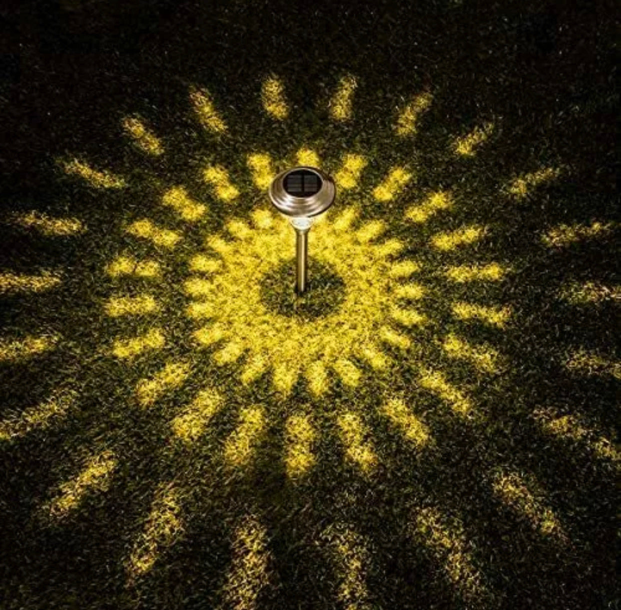 High-End 8 Pack Solar Pathway Lights Glass Stainless Steel Warm White, Auto On/off 15 Lumen