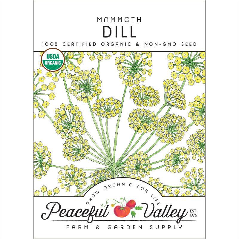 organic dill seeds for planting Mammoth Dill Seeds (Organic)
