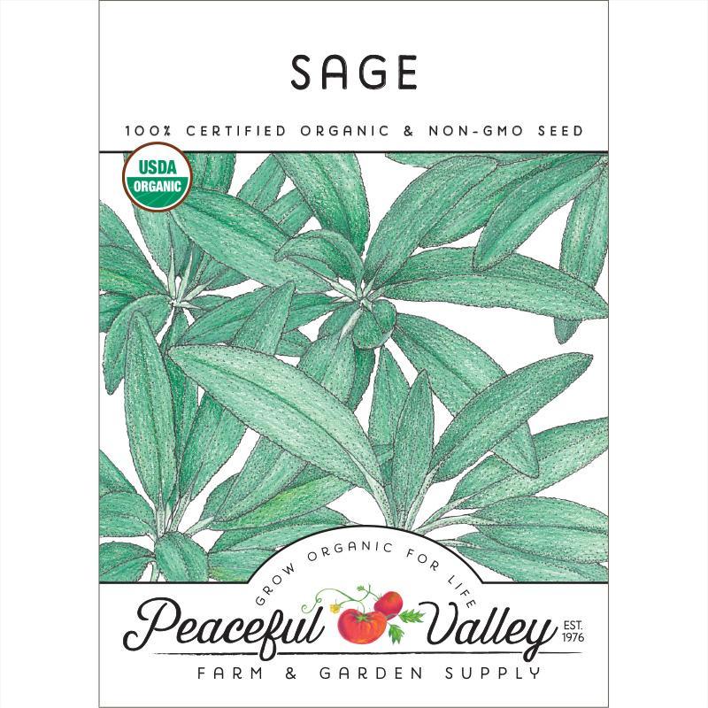 garden sage seeds Sage Seeds (Organic)