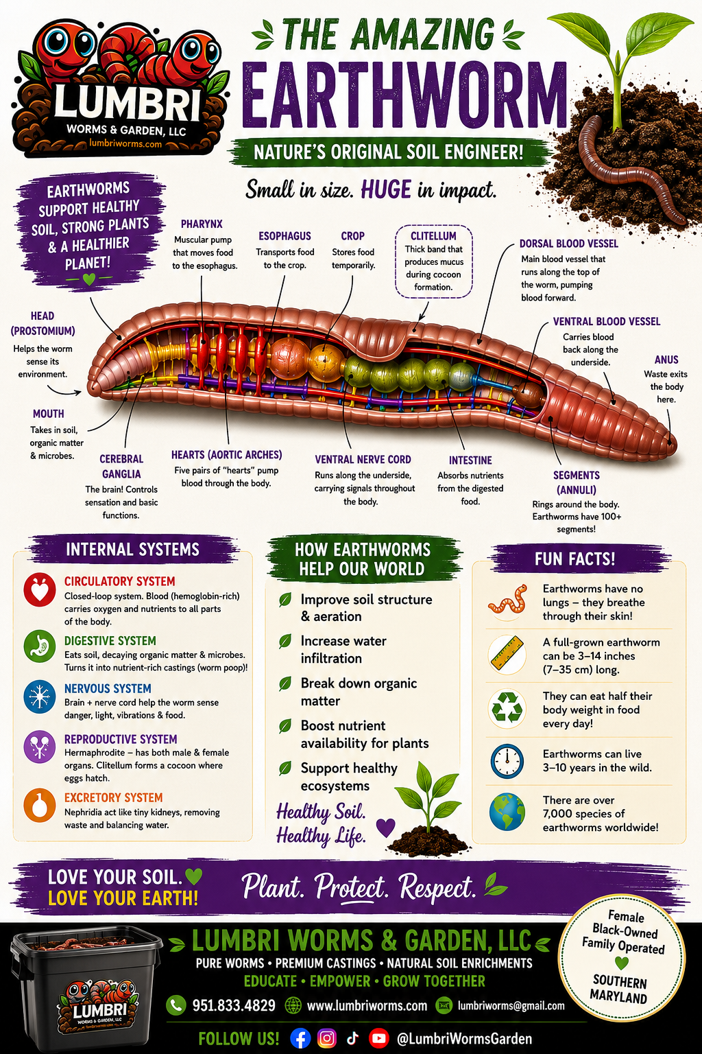 Vermicomposting Workshop | Learn Composting with Red Wigglers & European Nightcrawlers