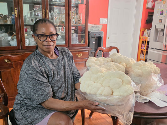 Lion's Mane Mushroom Growing Kit - 5 LBS Spray and Grow