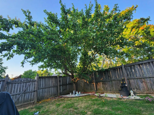 Worm Castings Calendar | Lumbri Worms