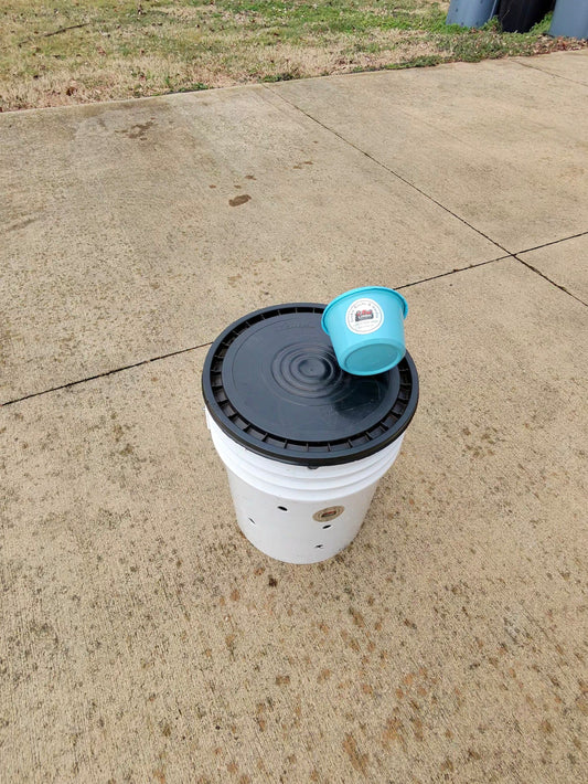 Why You Should Always Pre-Set Up Your Worm Bin Before Adding Worms