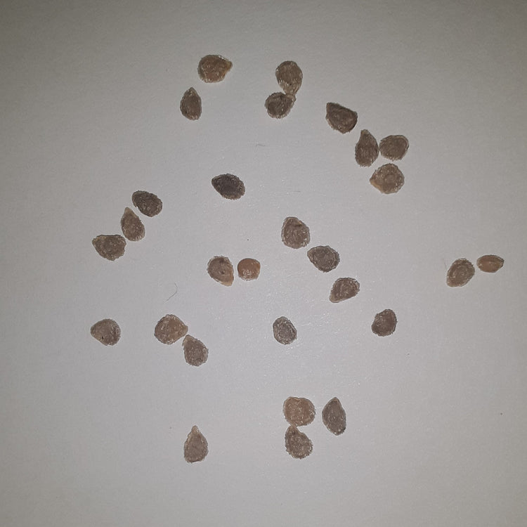 Papaw’s Heirloom Seeds with Worm Castings – Lumbri Worms & Garden
