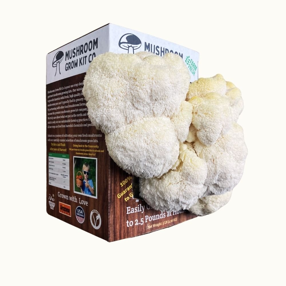 Mushroom Grow Kit
