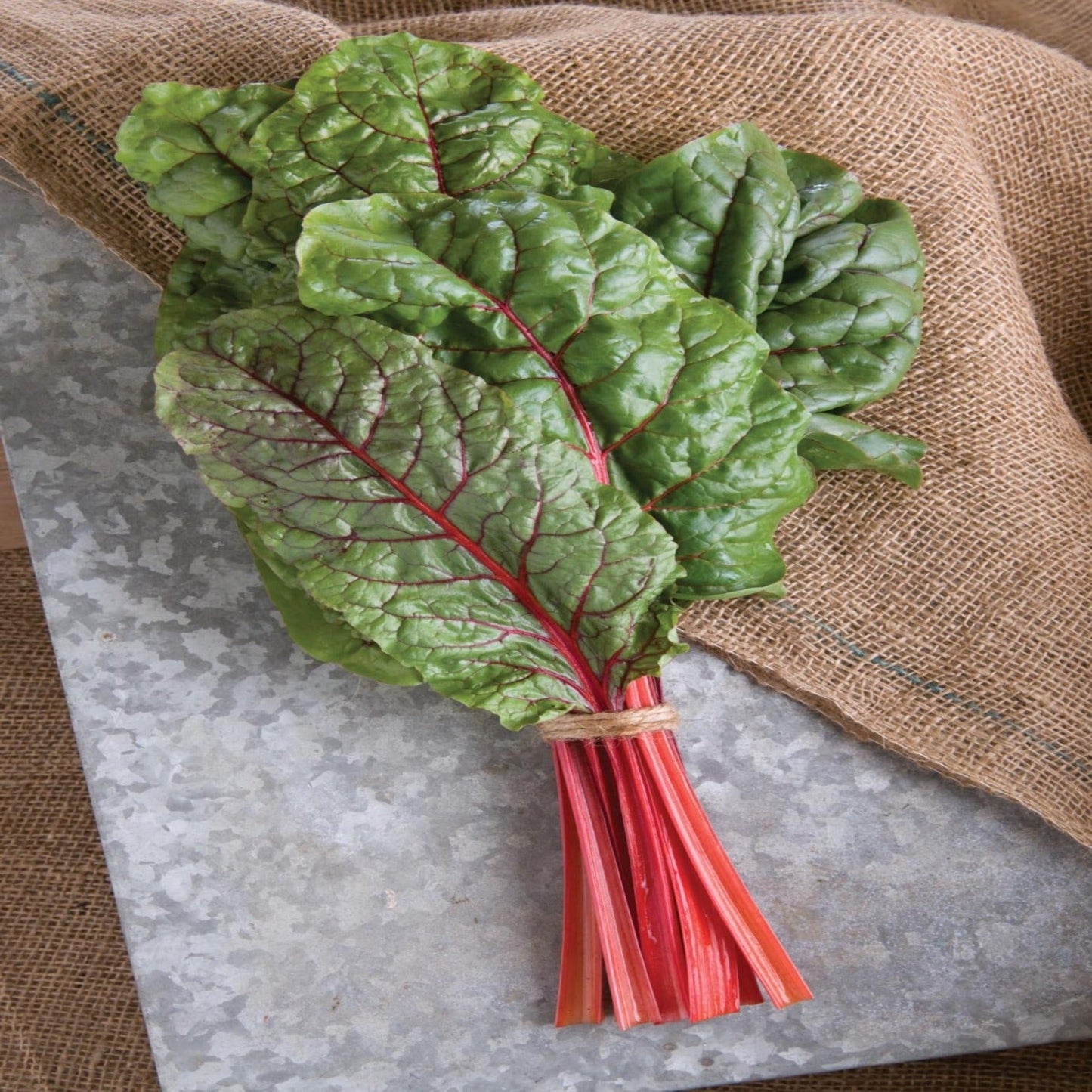 Rhubarb/Ruby Swiss Chard Seeds