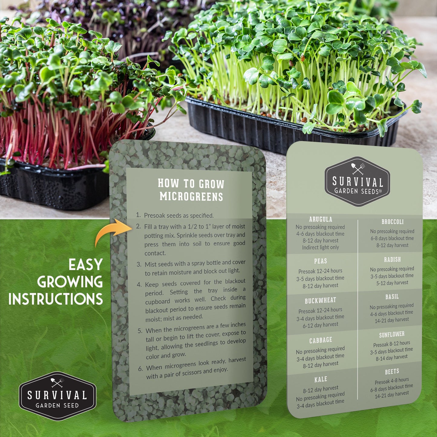 Microgreens 10 Variety Seed Kit