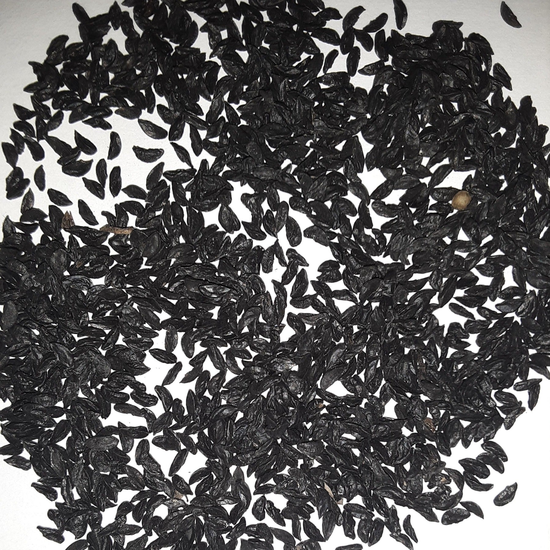 PAPAW'S GARDEN SUPPLY LLC. Chive Seeds