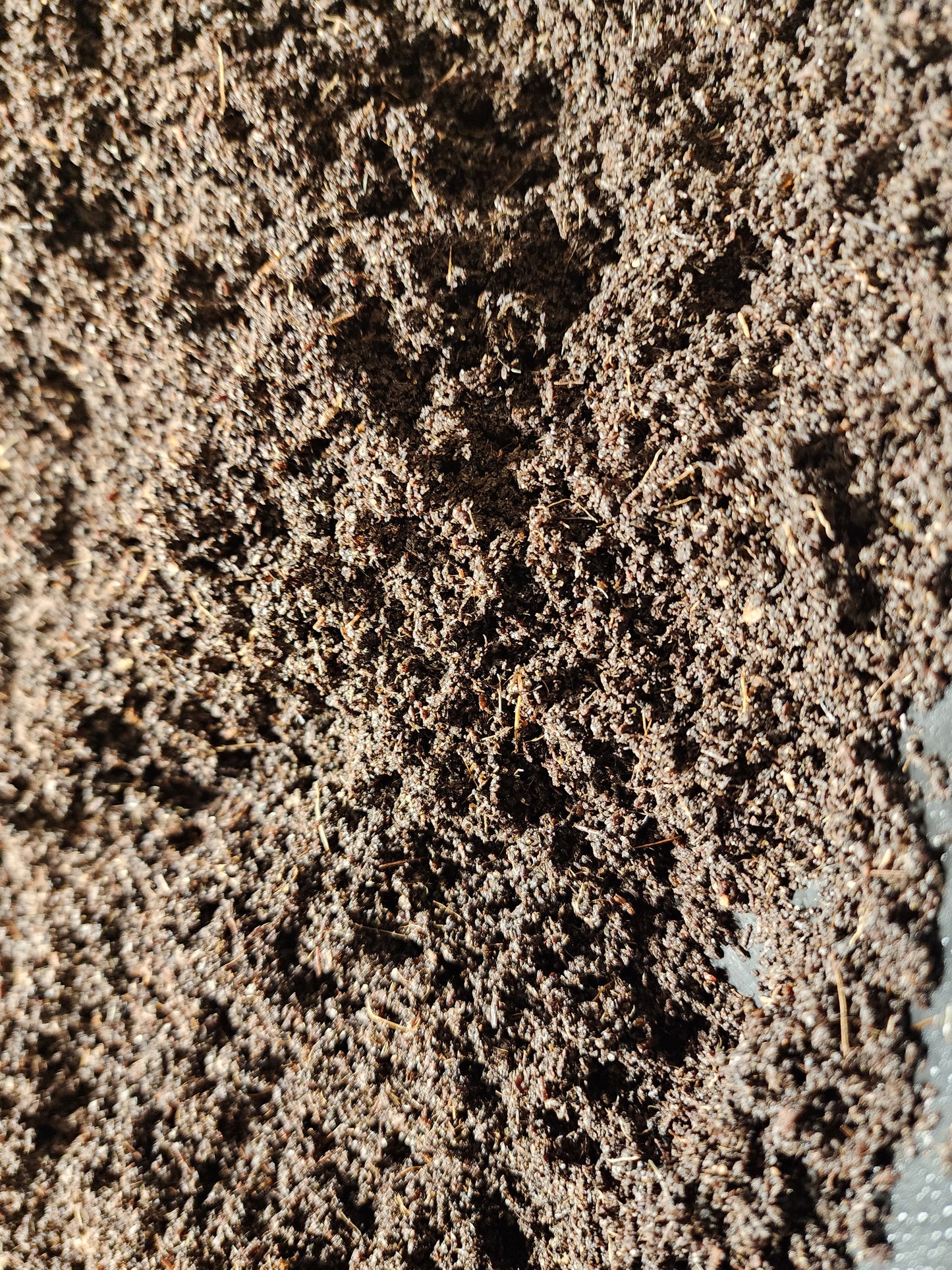 ALL NATURAL Worm Castings – Premium Vermicompost for Healthy Soil - REGISTERED with the Maryland Department of Agriculture