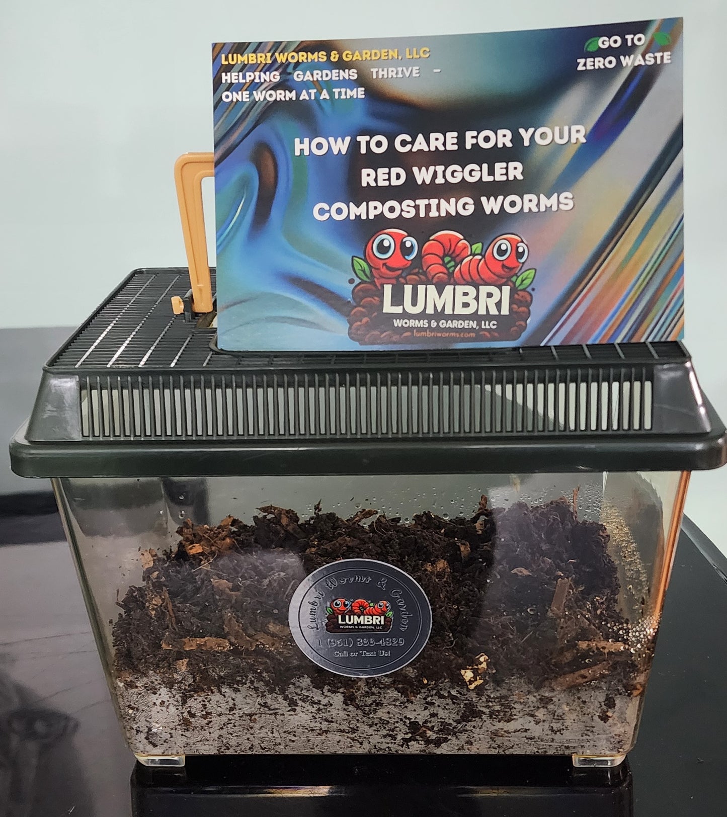Terrarium LIVE Worm Kit - Eco Systems Ready-To-Go - GREAT FOR KIDS - Worm Composting Starter Kit – Complete Eco System with Live Worms - LOCAL PICK UP ONLY