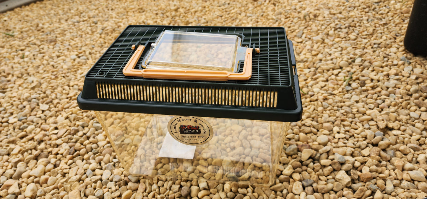 Terrarium LIVE Worm Kit - Eco Systems Ready-To-Go - GREAT FOR KIDS - Worm Composting Starter Kit – Complete Eco System with Live Worms - LOCAL PICK UP ONLY