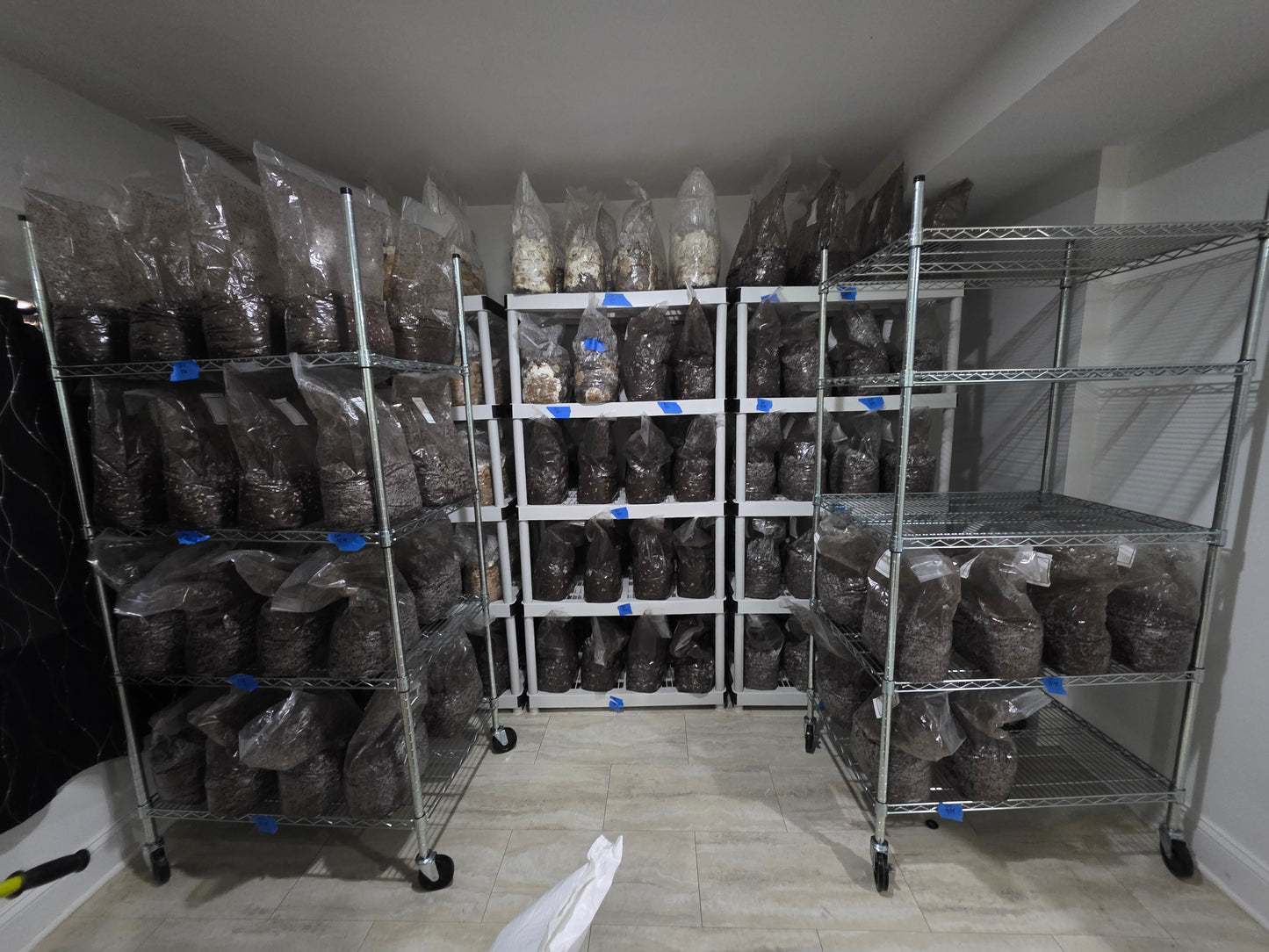 🍄 Fresh Gourmet Mushrooms Multi Pak (3) – Lion’s Mane, Shiitake & Oysters - LOCAL PICK UP ONLY