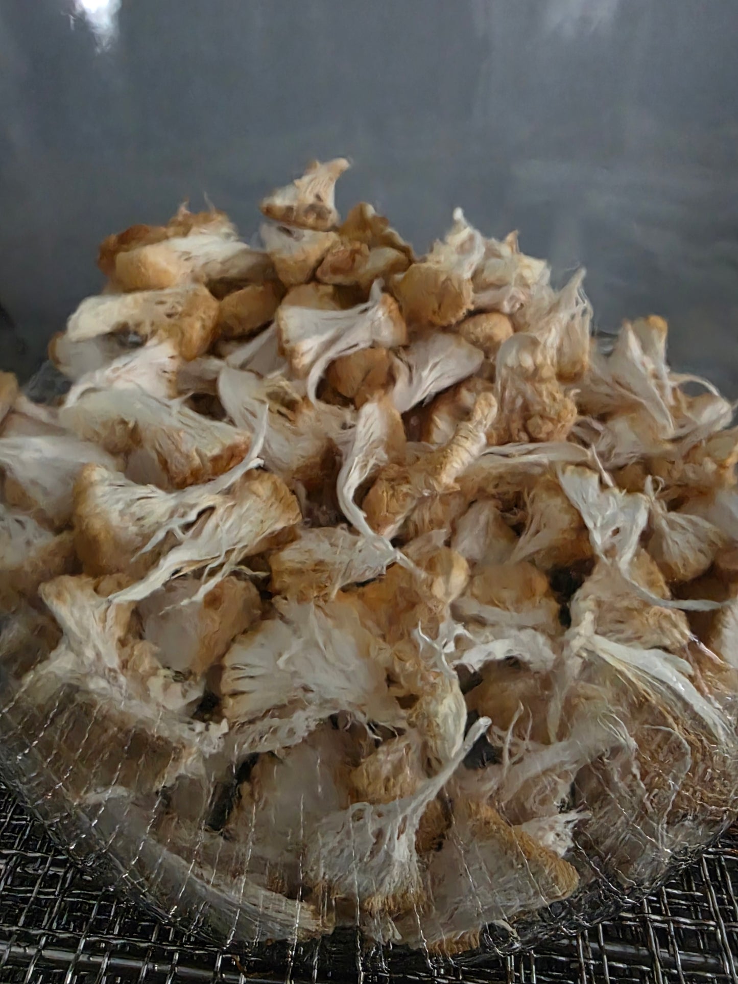 Lion’s Mane Mushroom Powder – Whole Fruiting Body

Our Lion’s Mane Mushroom Powder is made from 100% whole fruiting bodies, carefully dehydrated and finely milled to preserve natural compounds. Known for its role in brain, nerve, and cognitive support, Li