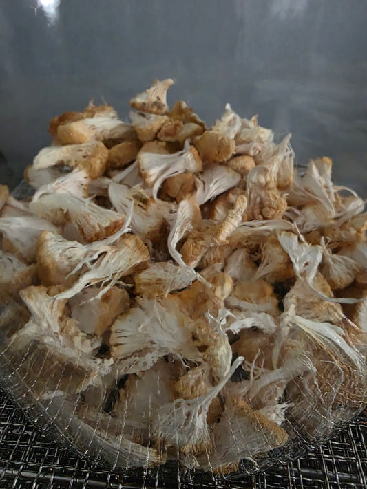 Lion’s Mane Mushroom Powder – Whole Fruiting Body

Our Lion’s Mane Mushroom Powder is made from 100% whole fruiting bodies, carefully dehydrated and finely milled to preserve natural compounds. Known for its role in brain, nerve, and cognitive support, Li
