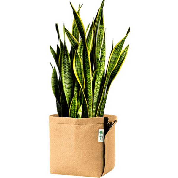 GeoPot Velcro Transplanter Grow Bags - Tan