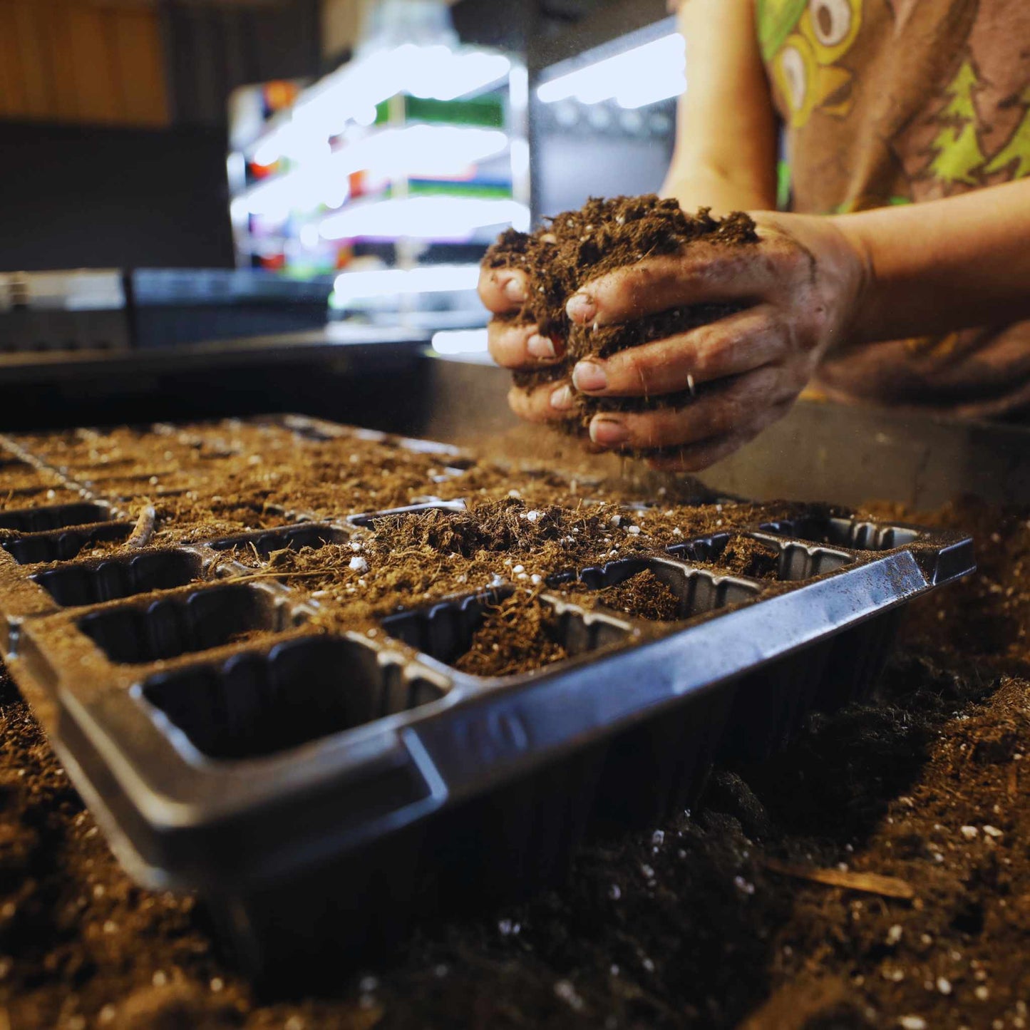 50 Cell Seed Planting Trays